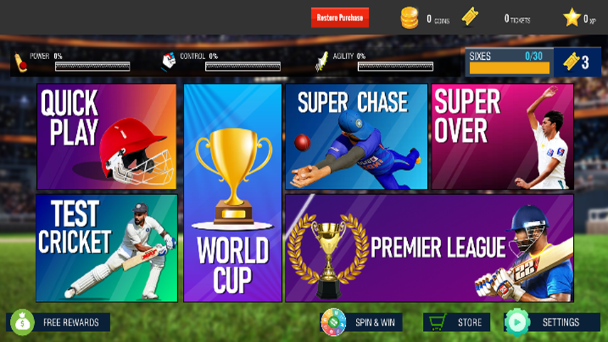 T20 Cricket Tournament gameplay screenshot 1