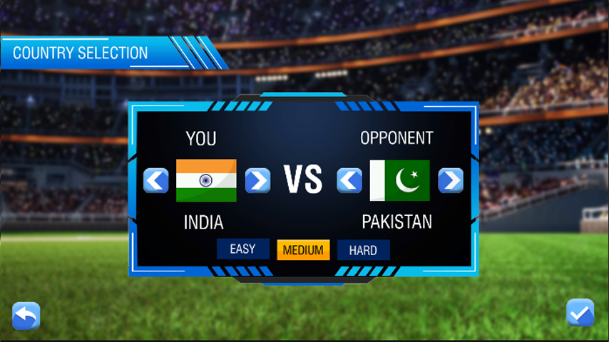 T20 Cricket Tournament featured gameplay
