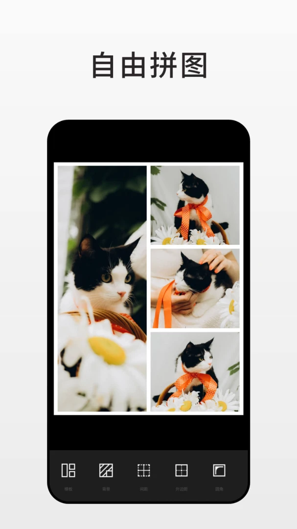 应用截图 4