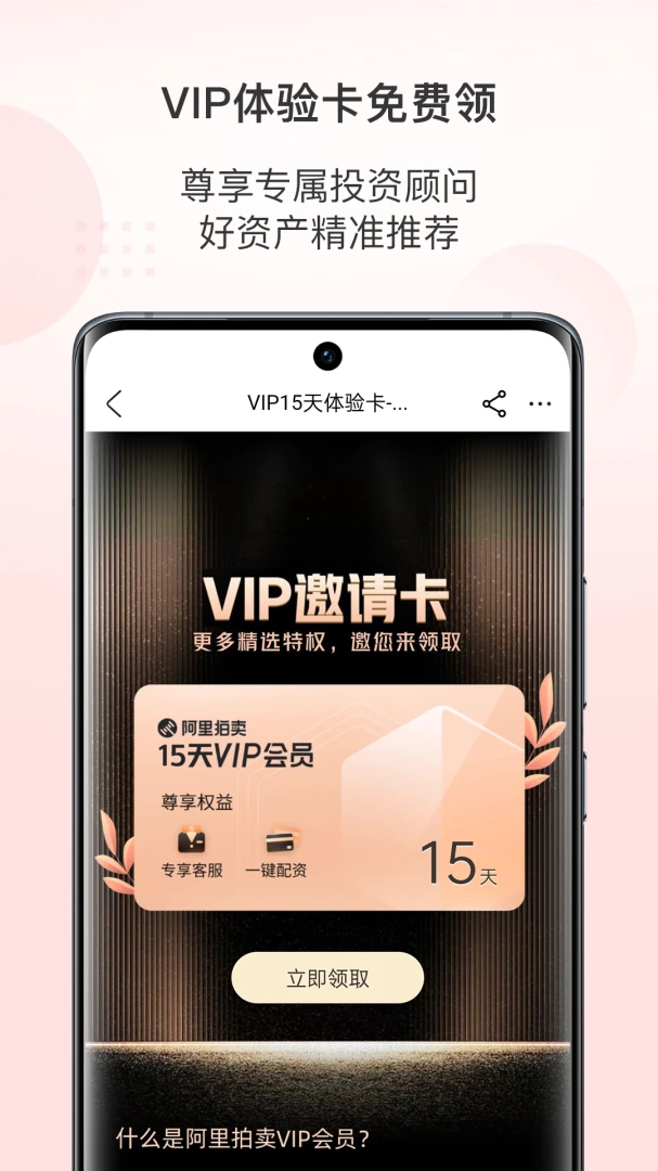 阿里拍卖截图