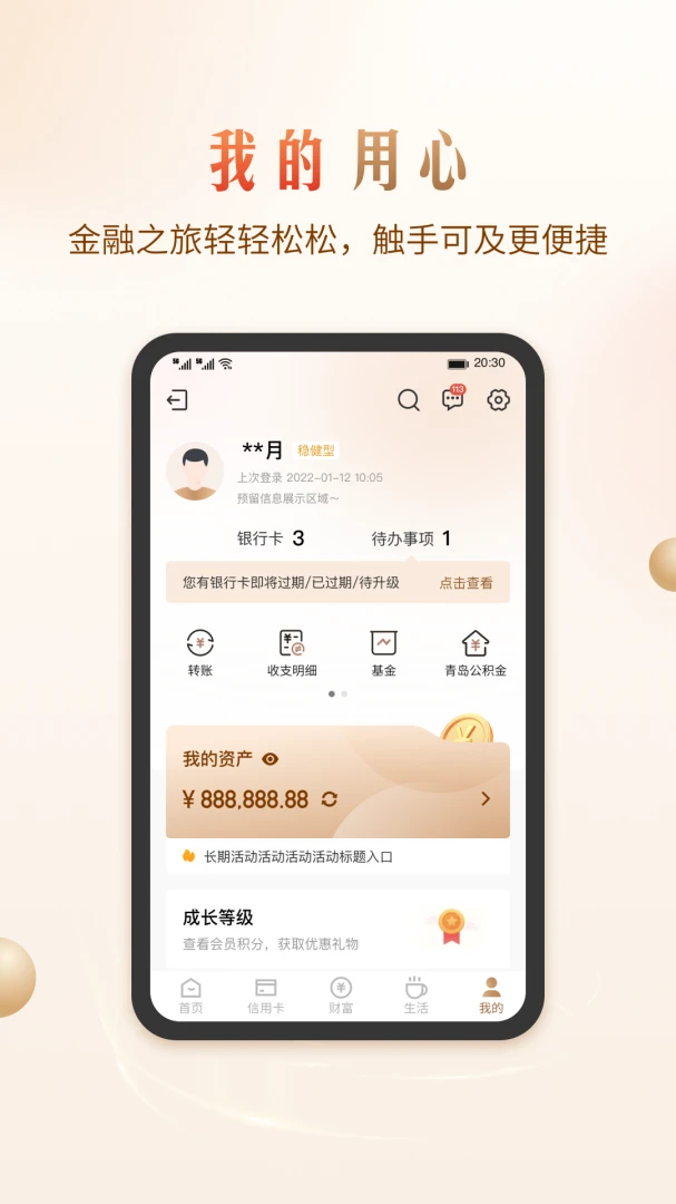 应用截图 5