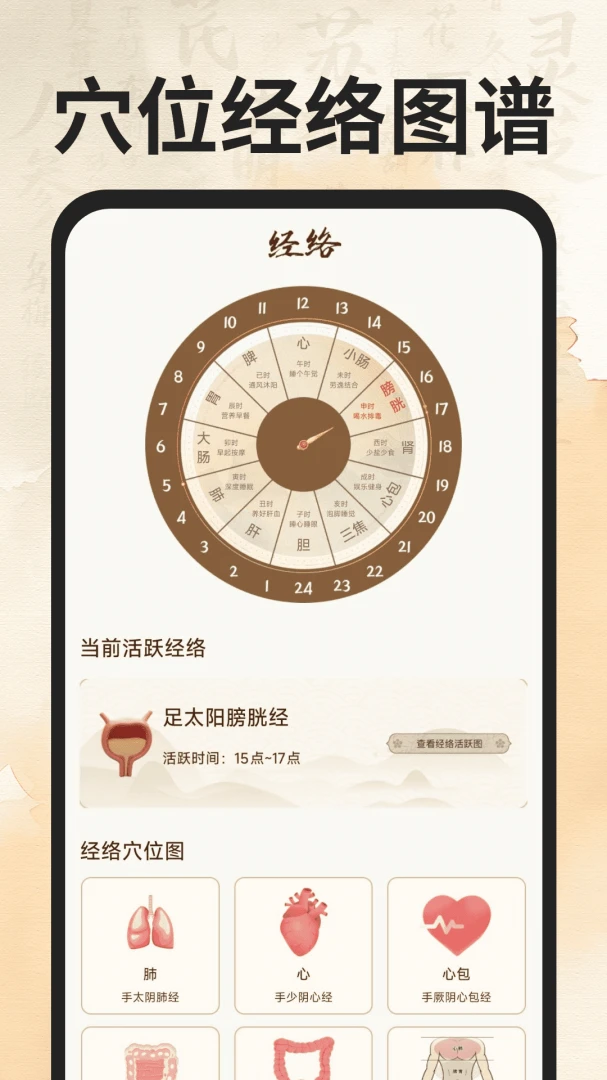 穴位经络图谱截图