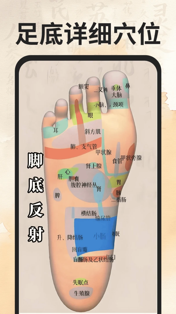 穴位经络图谱截图