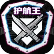 护航王